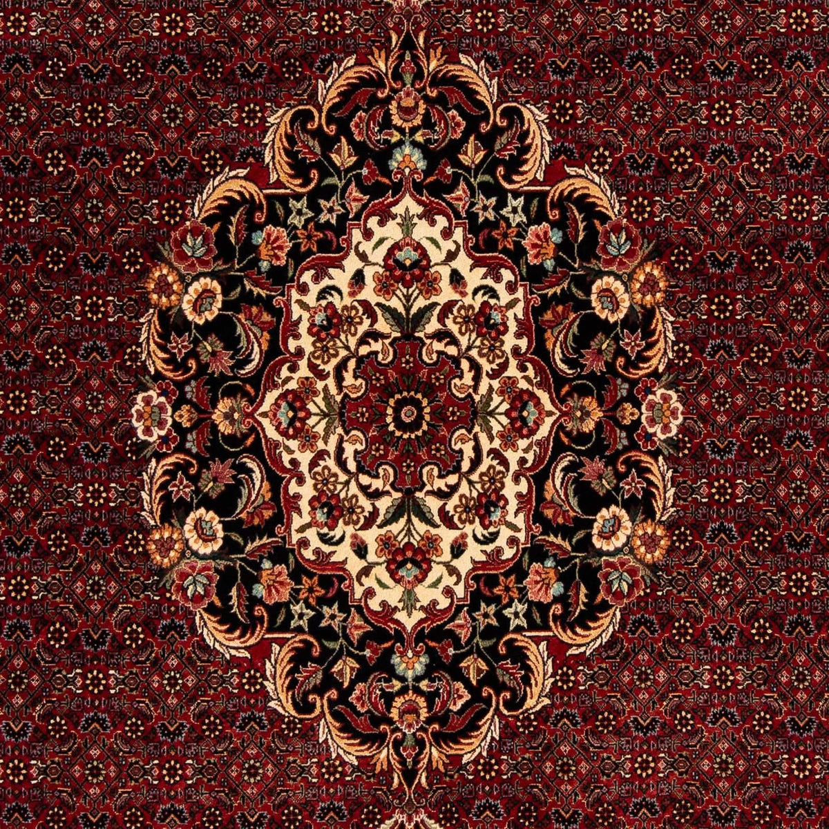 Tappeto Persero - Bidjar - 257 x 203 cm - rosso scuro