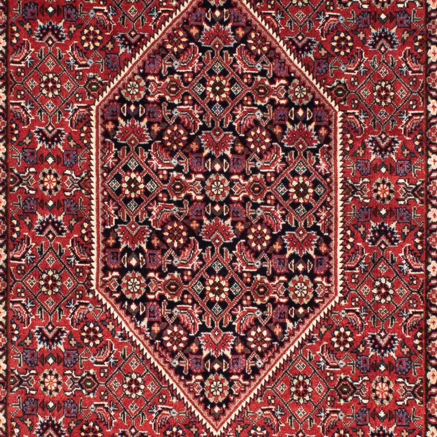 Tappeto corsia Tappeto Persero - Bidjar - 200 x 74 cm - rosso scuro