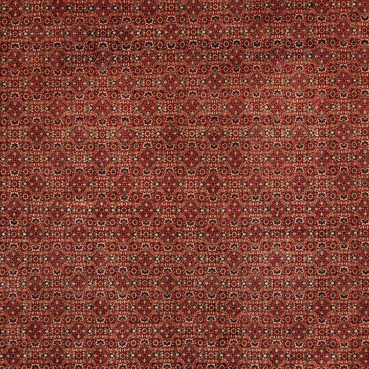 Tappeto Persero - Bidjar - 384 x 300 cm - rosso scuro