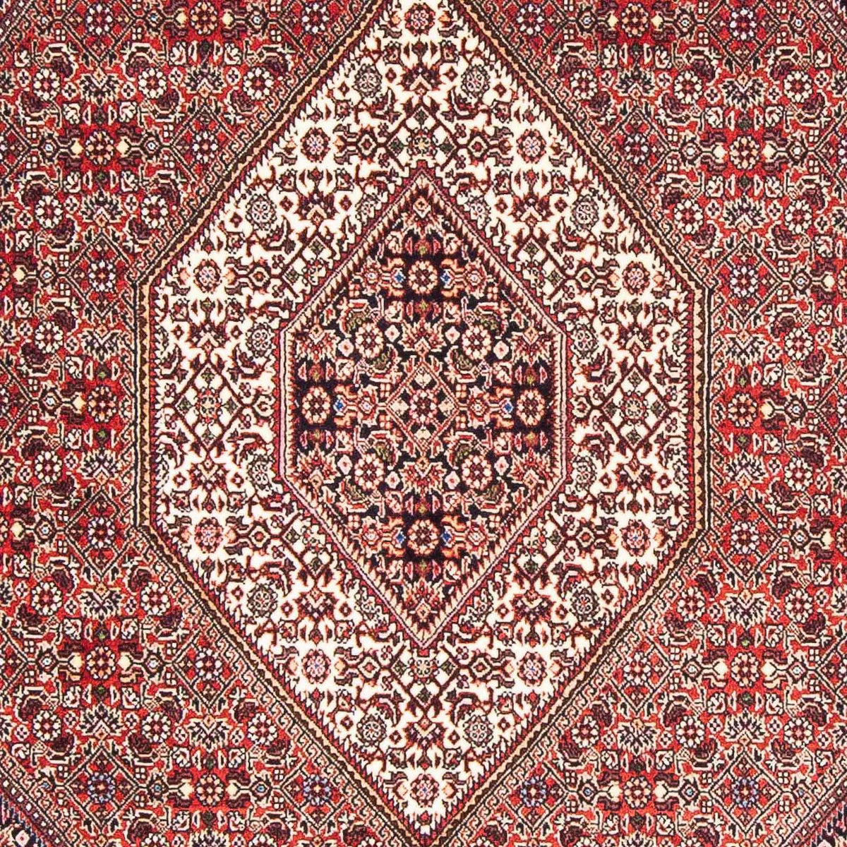 Tappeto Persero - Bidjar - 176 x 110 cm - rosso chiaro