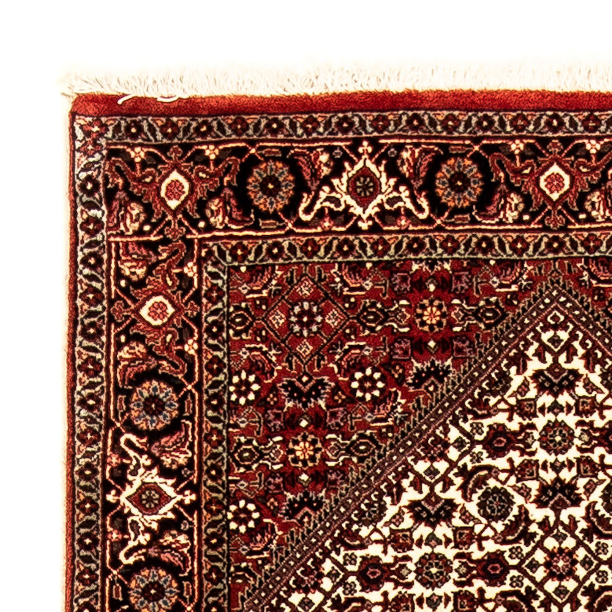 Tappeto corsia Tappeto Persero - Bidjar - 284 x 80 cm - multicolore