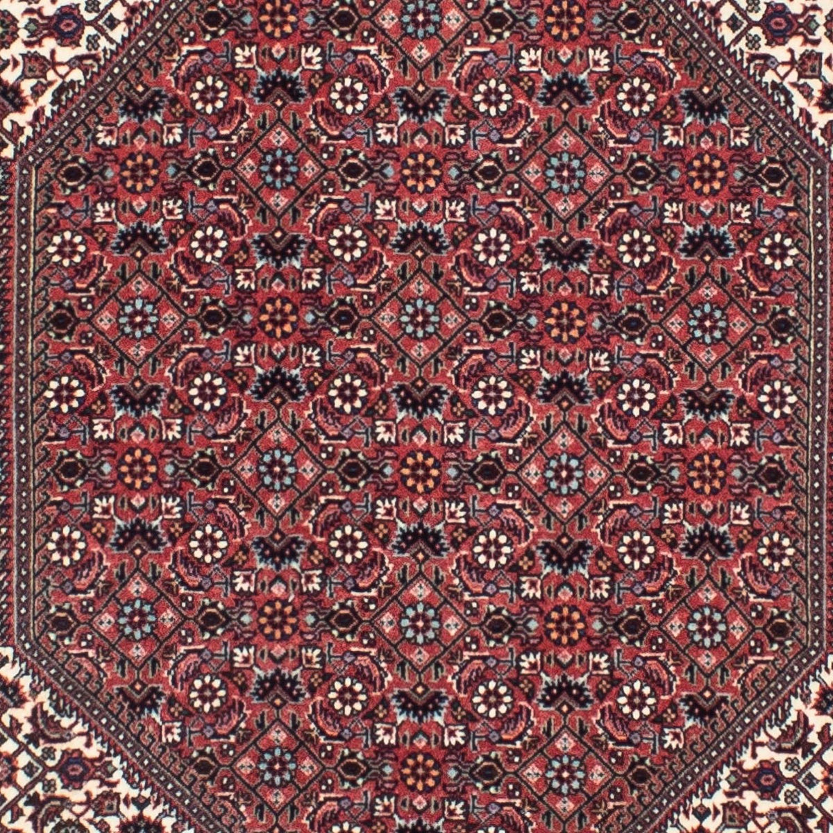 Tappeto corsia Tappeto Persero - Bidjar - 317 x 88 cm - rosso chiaro