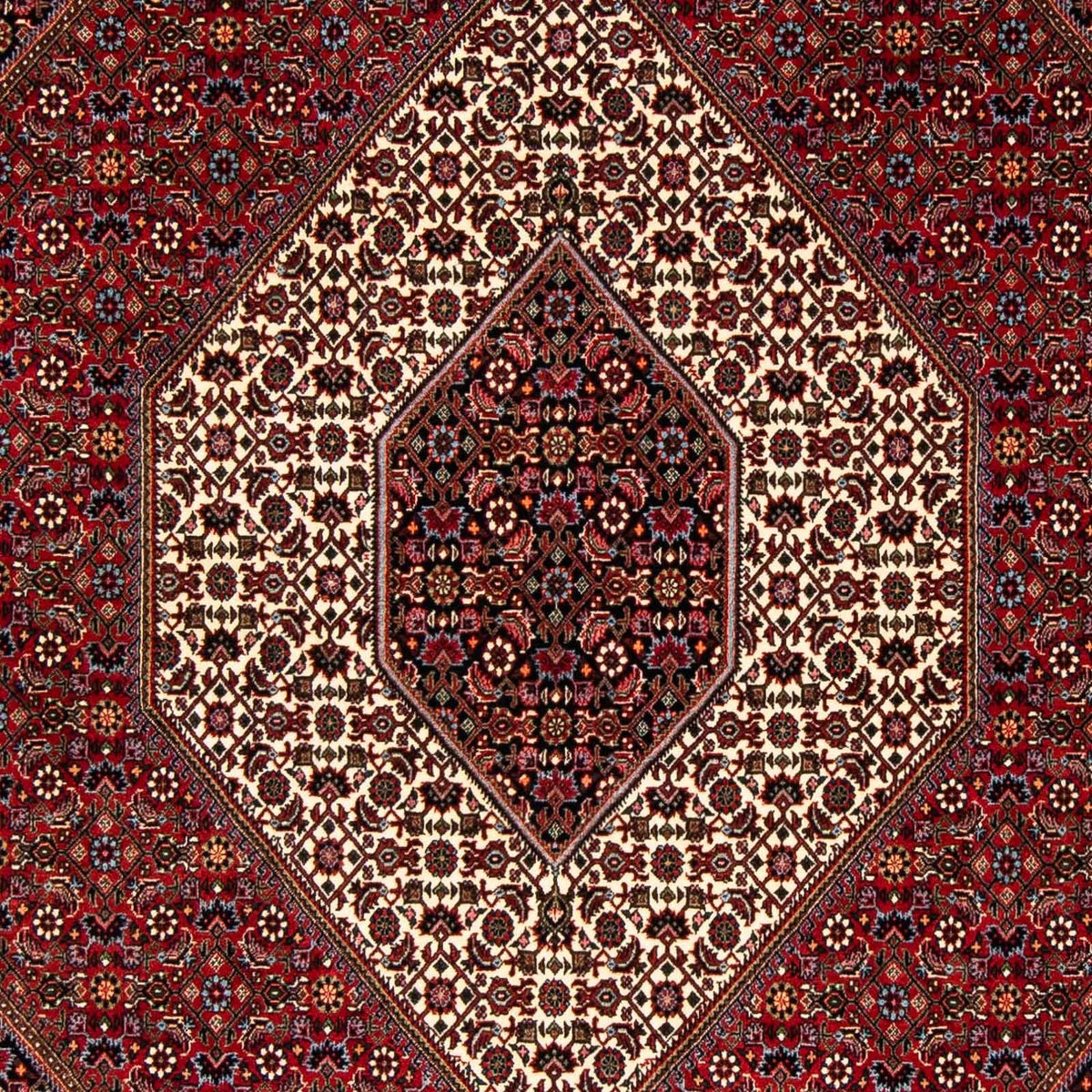Tappeto Persero - Bidjar - 251 x 176 cm - rosso scuro