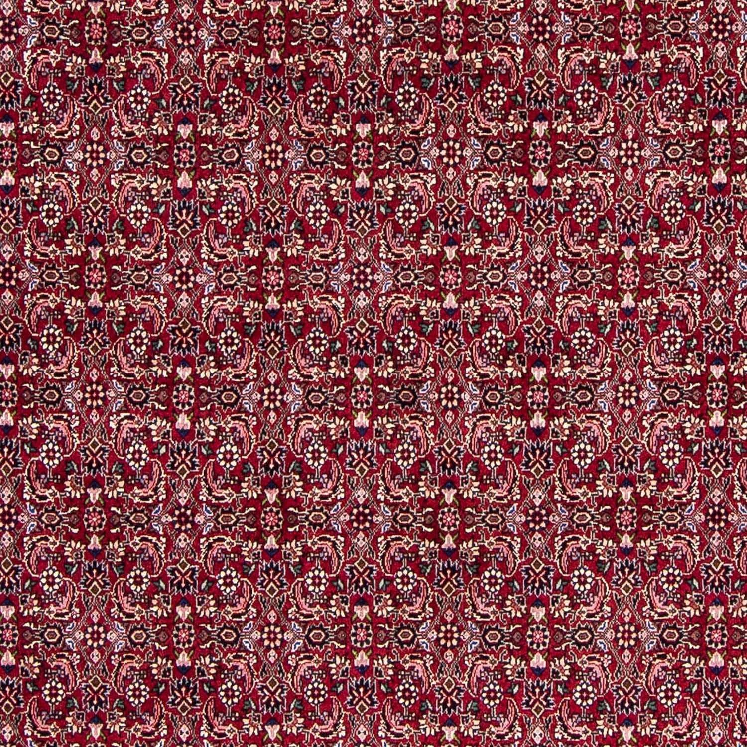 Tappeto Persero - Bidjar - 245 x 174 cm - rosso