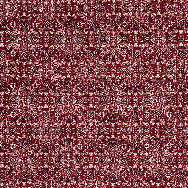 Tappeto Persero - Bidjar - 245 x 174 cm - rosso