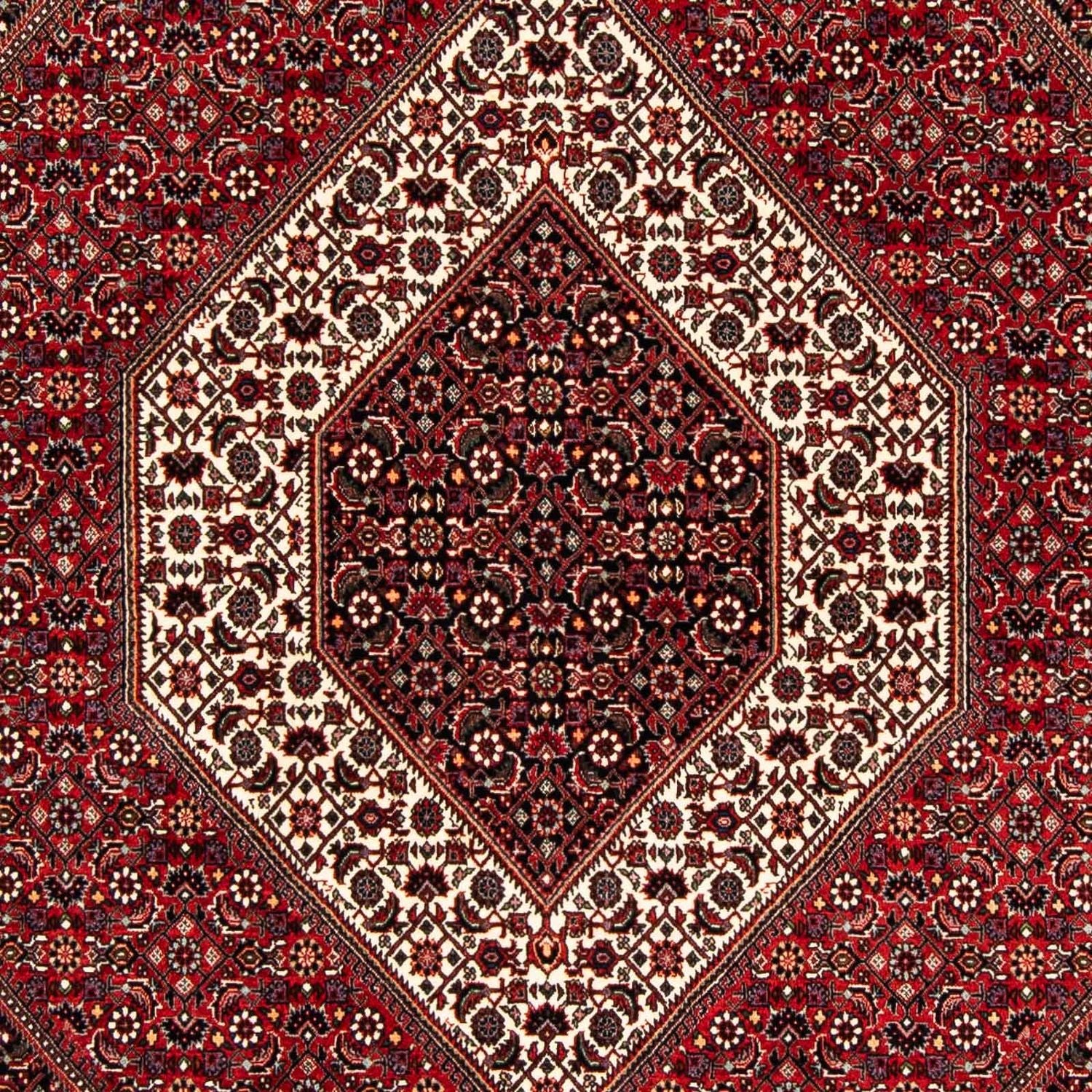 Tappeto Persero - Bidjar - 240 x 172 cm - rosso scuro