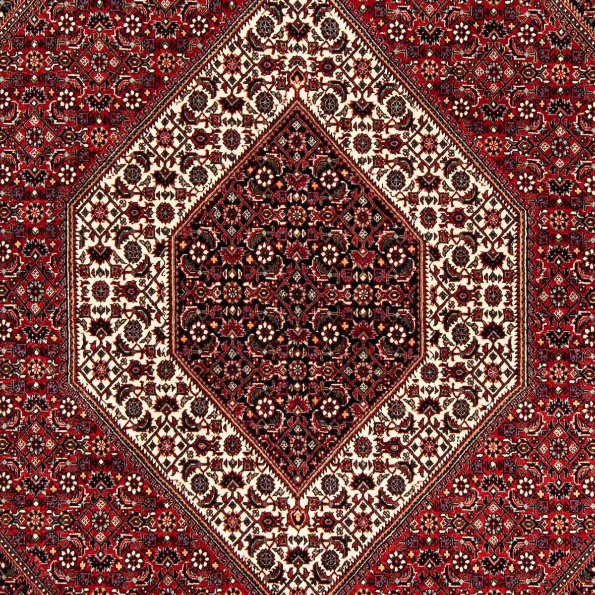 Tappeto Persero - Bidjar - 240 x 172 cm - rosso scuro