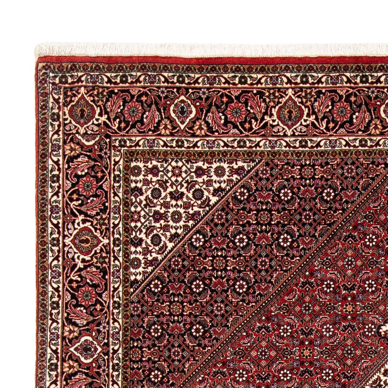 Tappeto Persero - Bidjar - 249 x 174 cm - rosso scuro