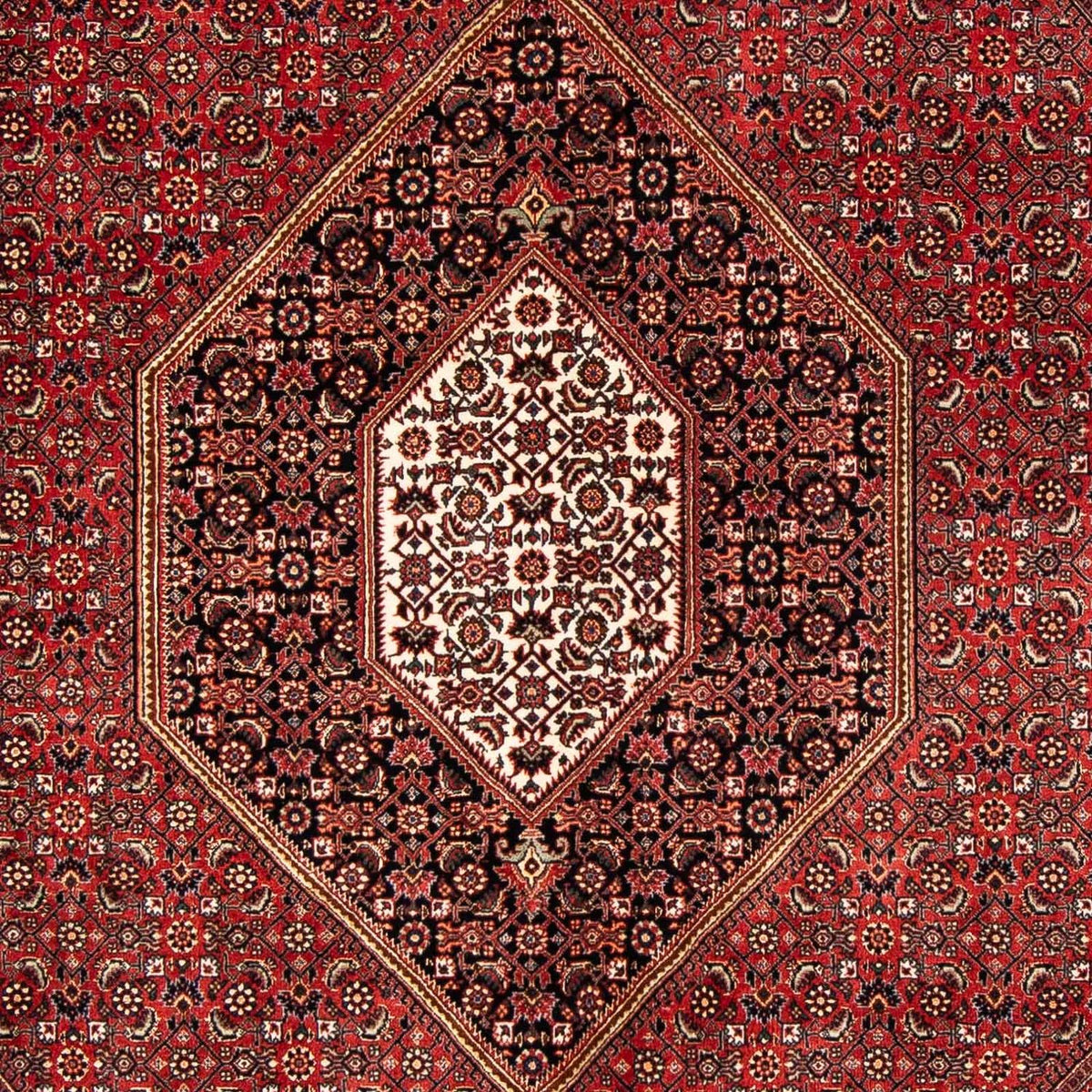 Tappeto Persero - Bidjar - 240 x 171 cm - rosso scuro