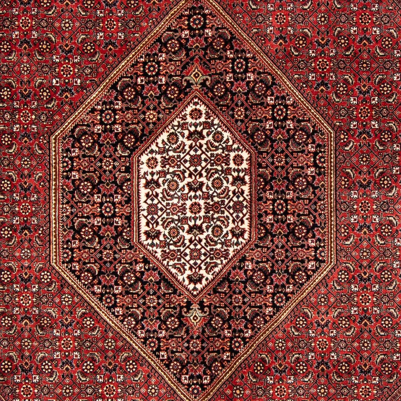 Tappeto Persero - Bidjar - 240 x 171 cm - rosso scuro