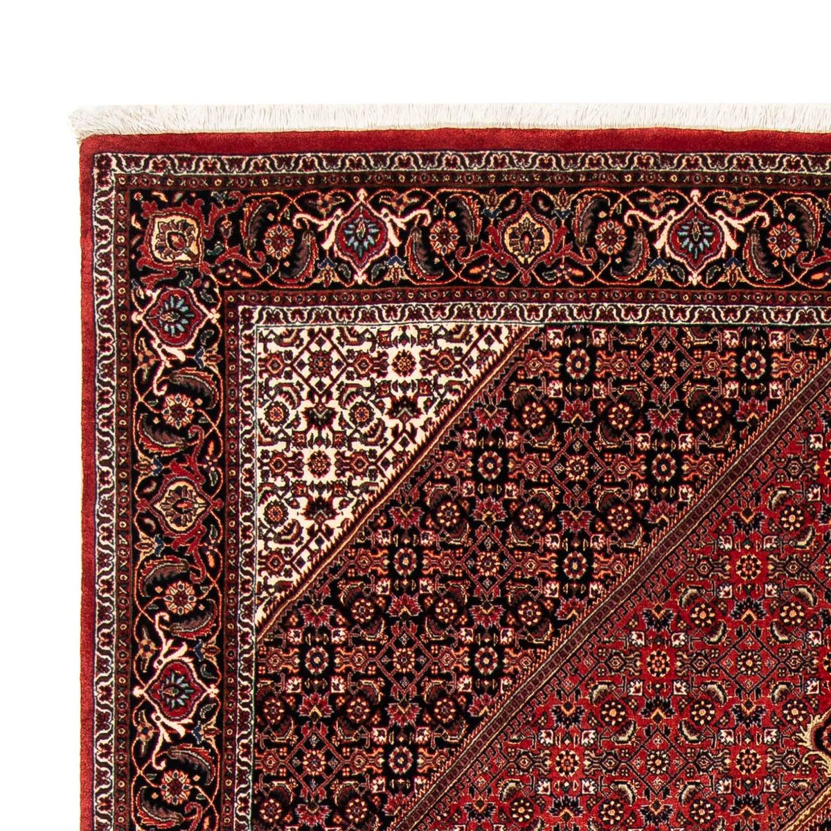 Tappeto Persero - Bidjar - 240 x 171 cm - rosso scuro