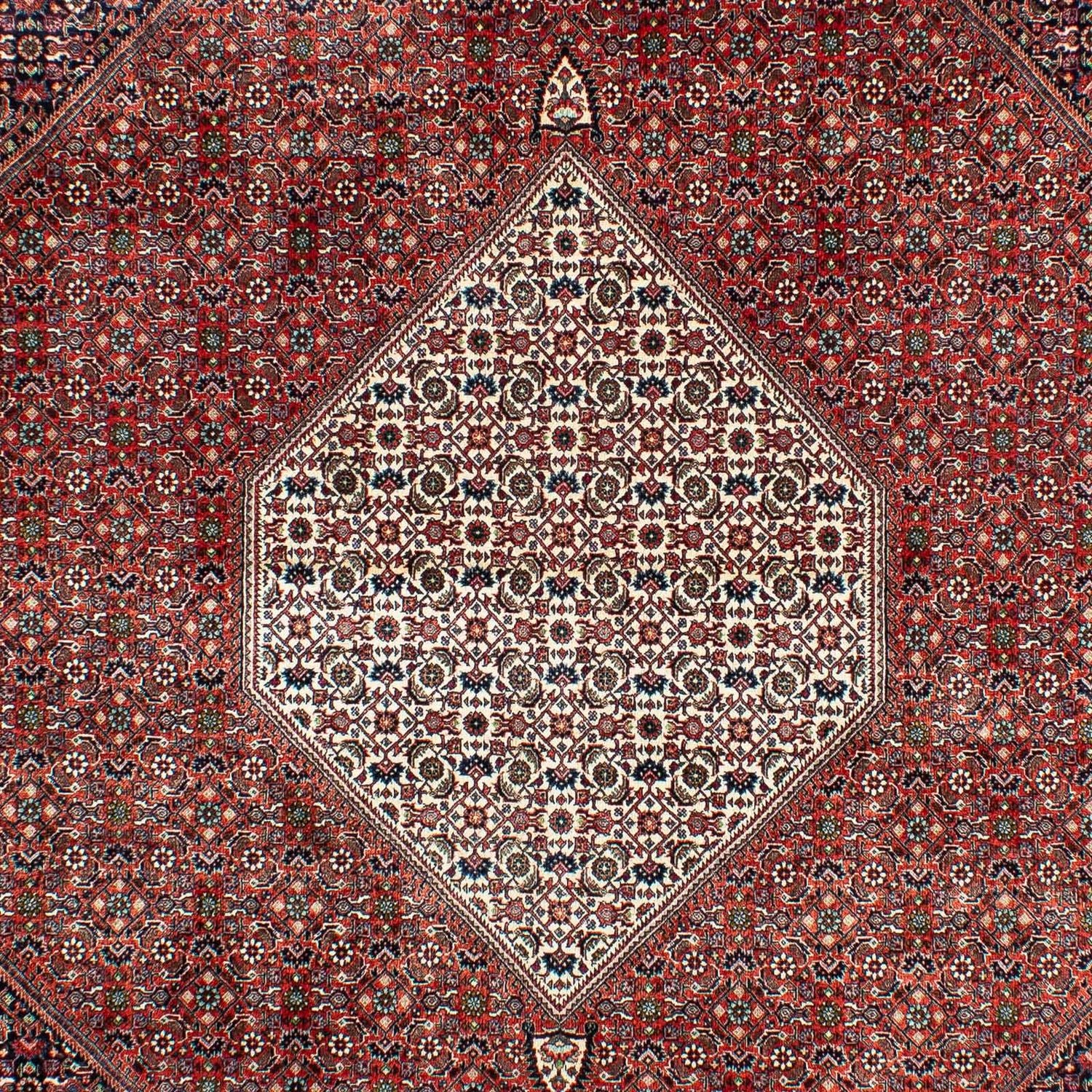 Tappeto Persero - Bidjar - 301 x 208 cm - ruggine