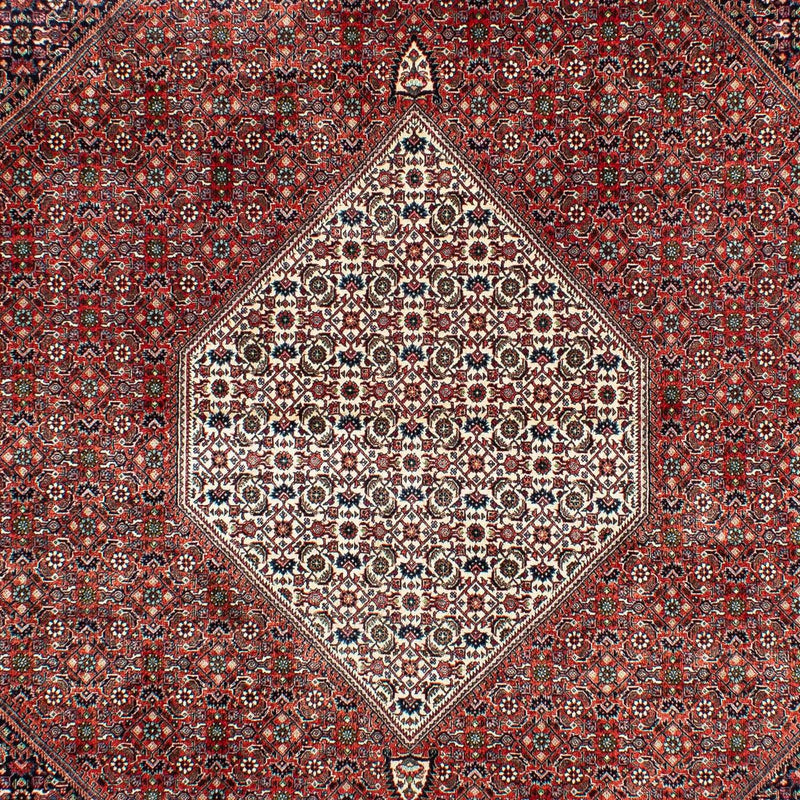 Tappeto Persero - Bidjar - 301 x 208 cm - ruggine