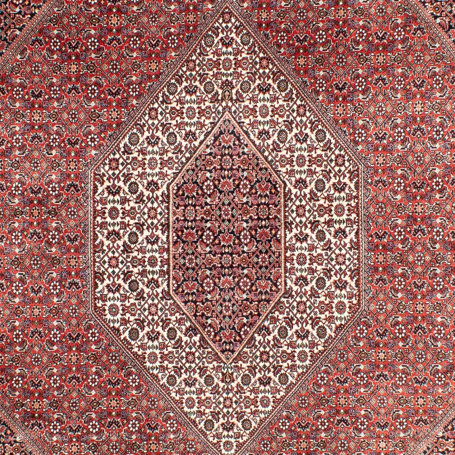 Tappeto Persero - Bidjar - 303 x 203 cm - rosso chiaro