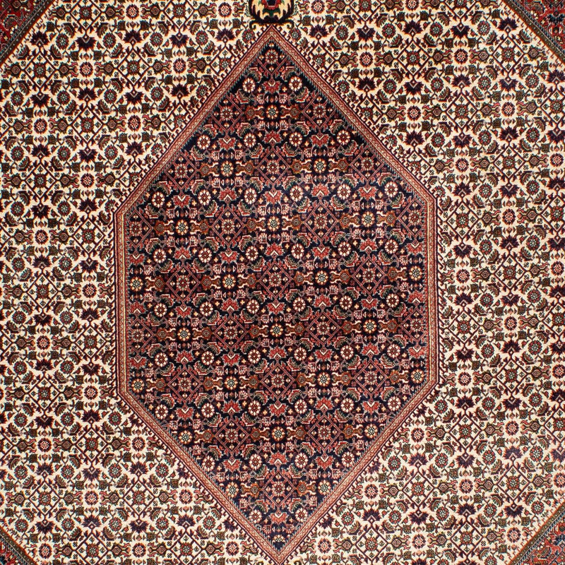 Tappeto Persero - Bidjar - 311 x 208 cm - beige