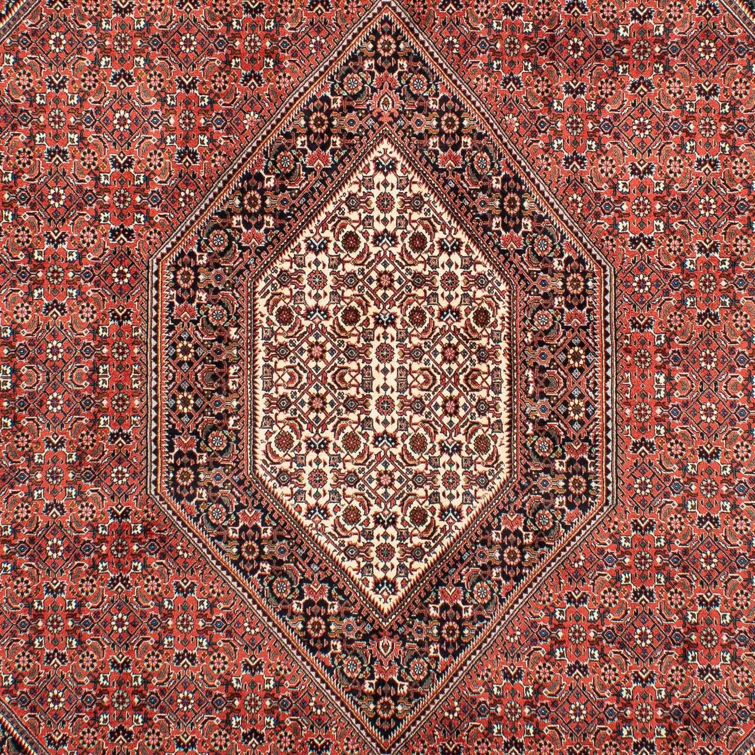 Tappeto Persero - Bidjar - 300 x 203 cm - rosso chiaro