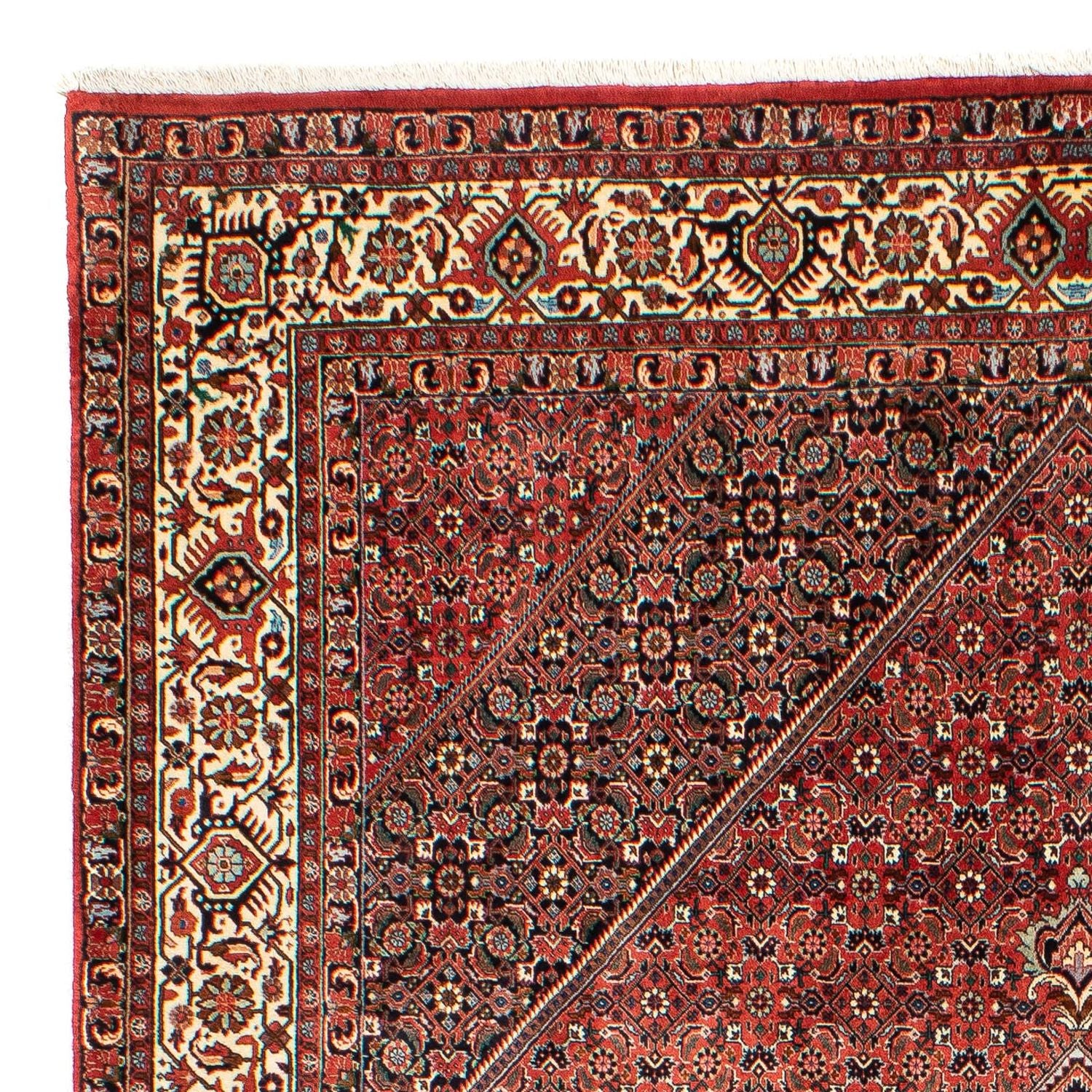 Tappeto Persero - Bidjar - 300 x 203 cm - rosso chiaro