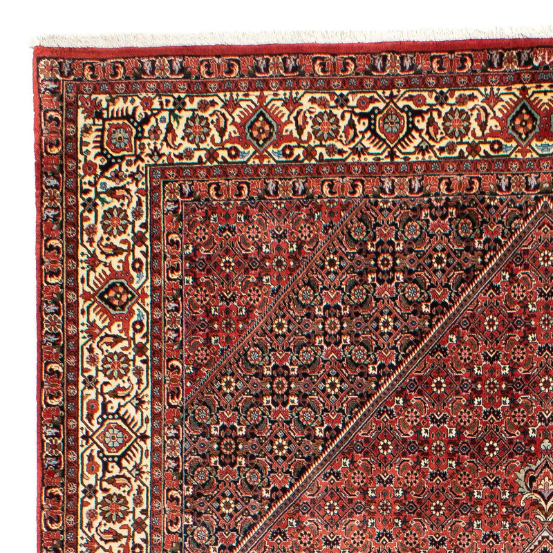 Tappeto Persero - Bidjar - 300 x 203 cm - rosso chiaro