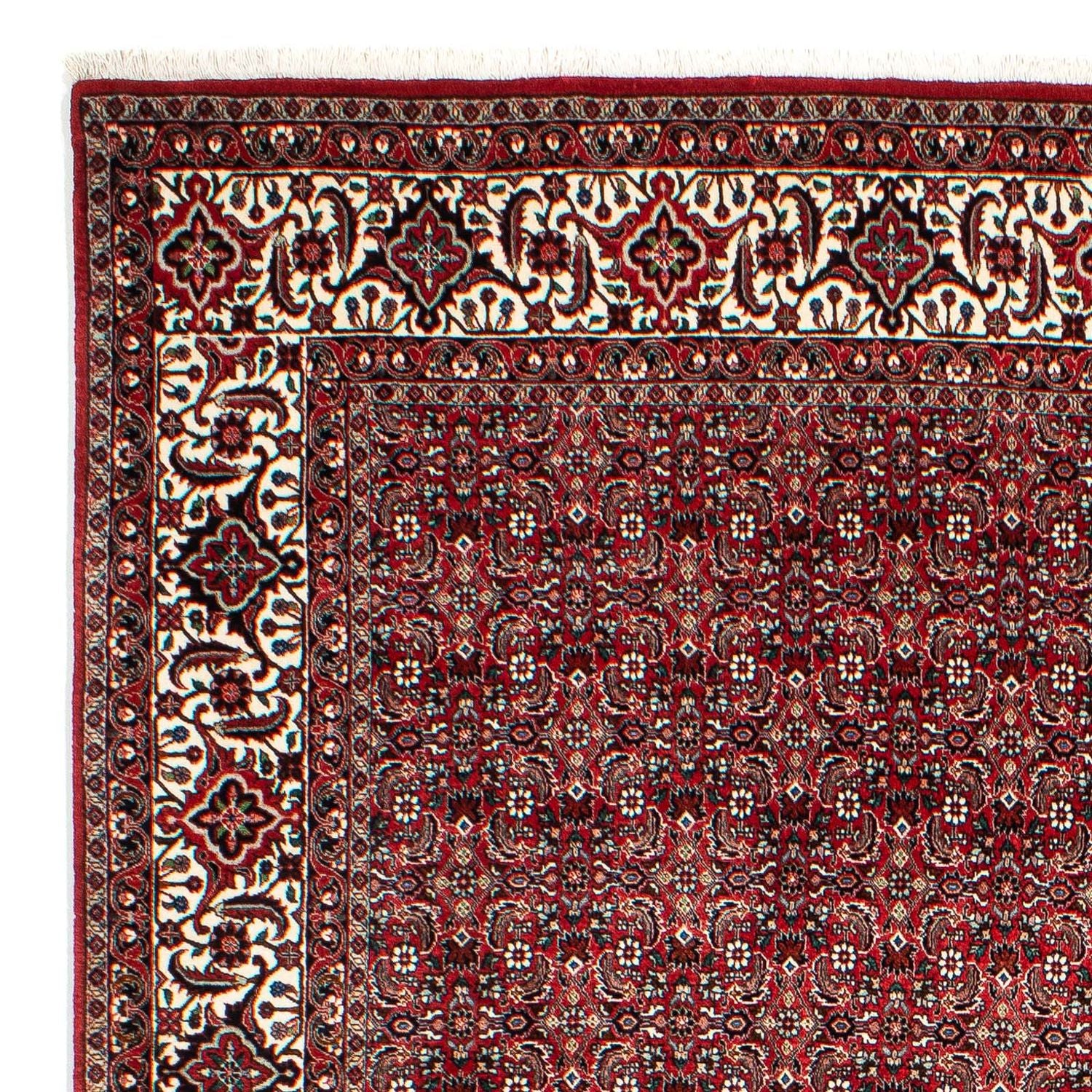 Tappeto Persero - Bidjar - 309 x 209 cm - rosso scuro