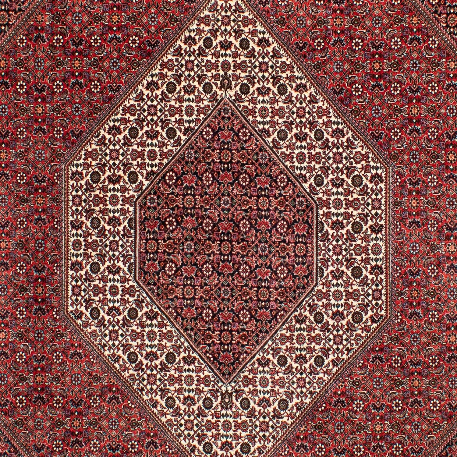 Tappeto Persero - Bidjar - 305 x 203 cm - rosso scuro