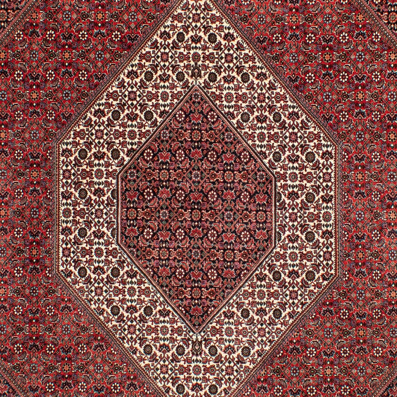 Tappeto Persero - Bidjar - 305 x 203 cm - rosso scuro