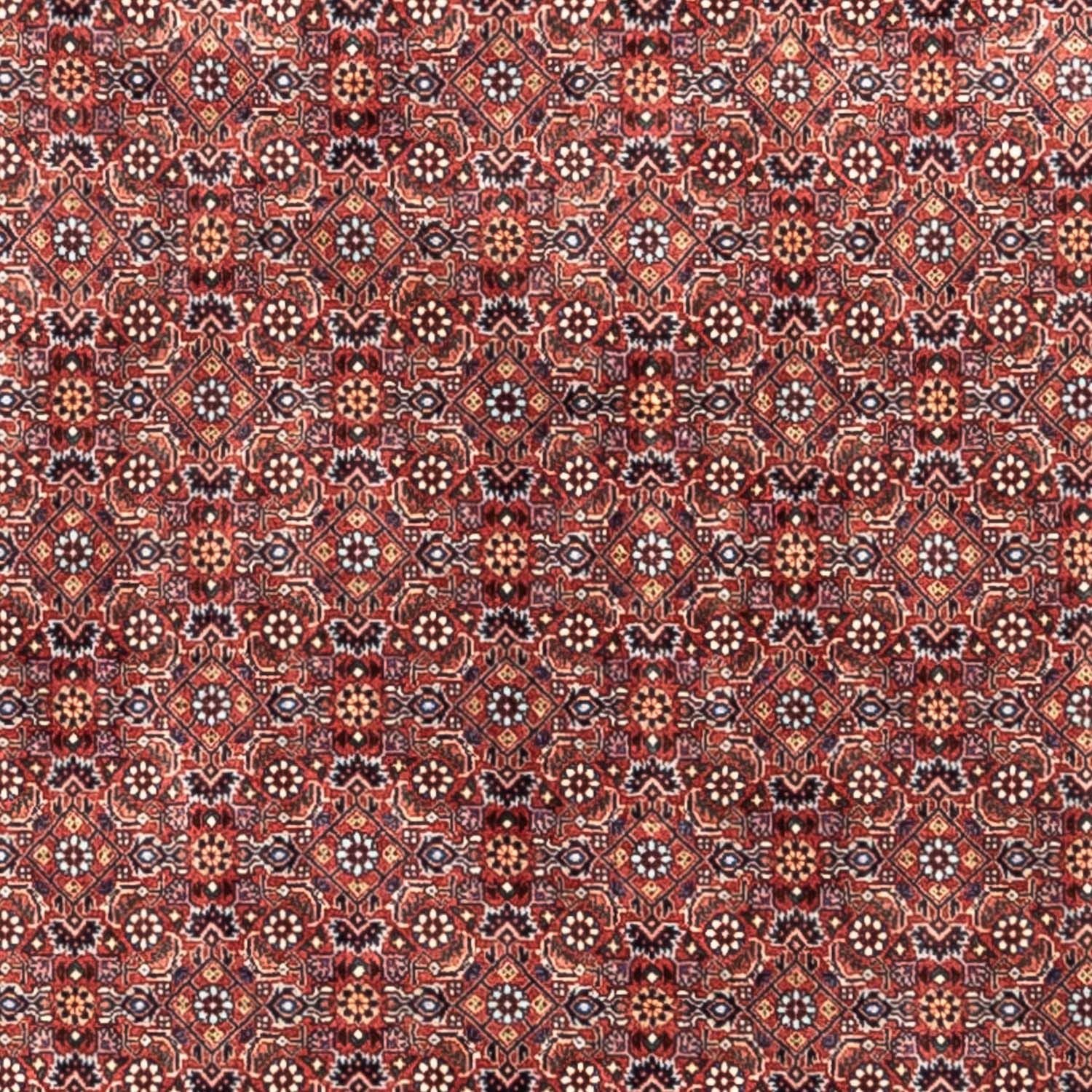 Tappeto Persero - Bidjar - 306 x 204 cm - rosso