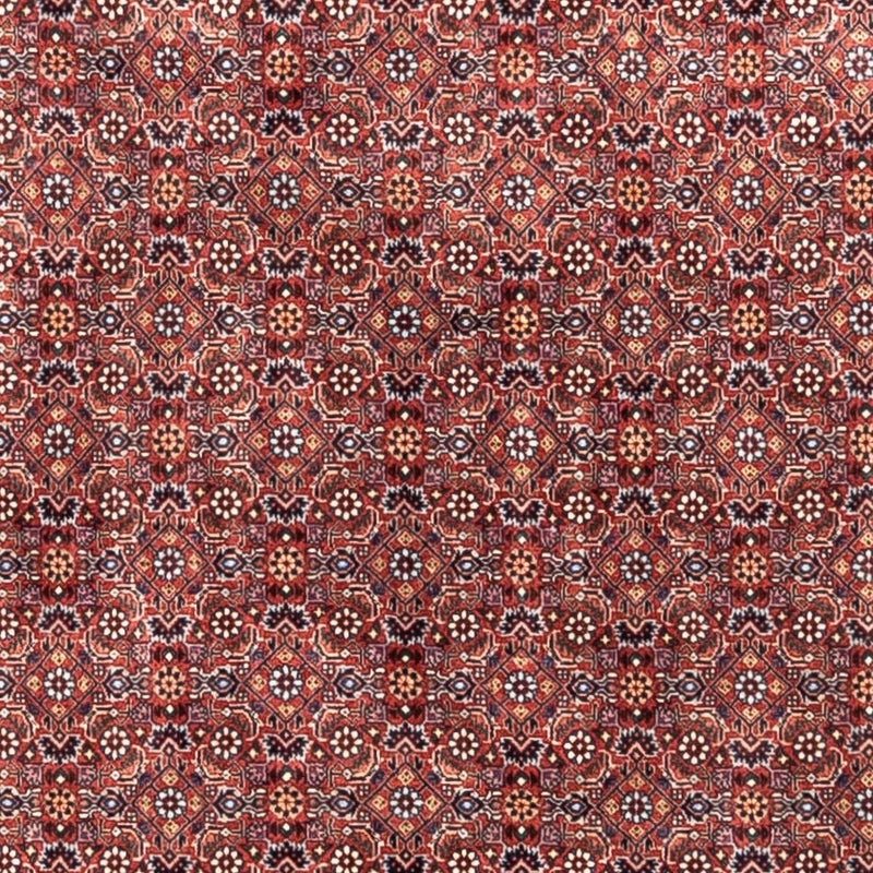 Tappeto Persero - Bidjar - 306 x 204 cm - rosso
