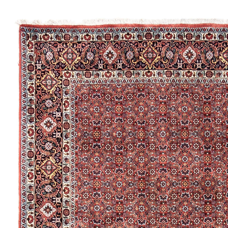 Tappeto Persero - Bidjar - 306 x 204 cm - rosso