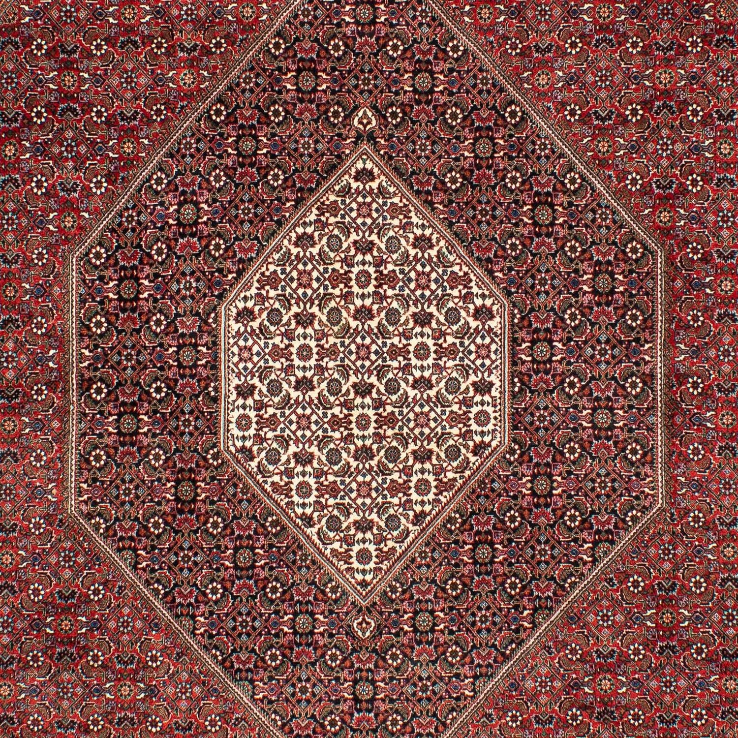Tappeto Persero - Bidjar - 309 x 208 cm - rosso scuro