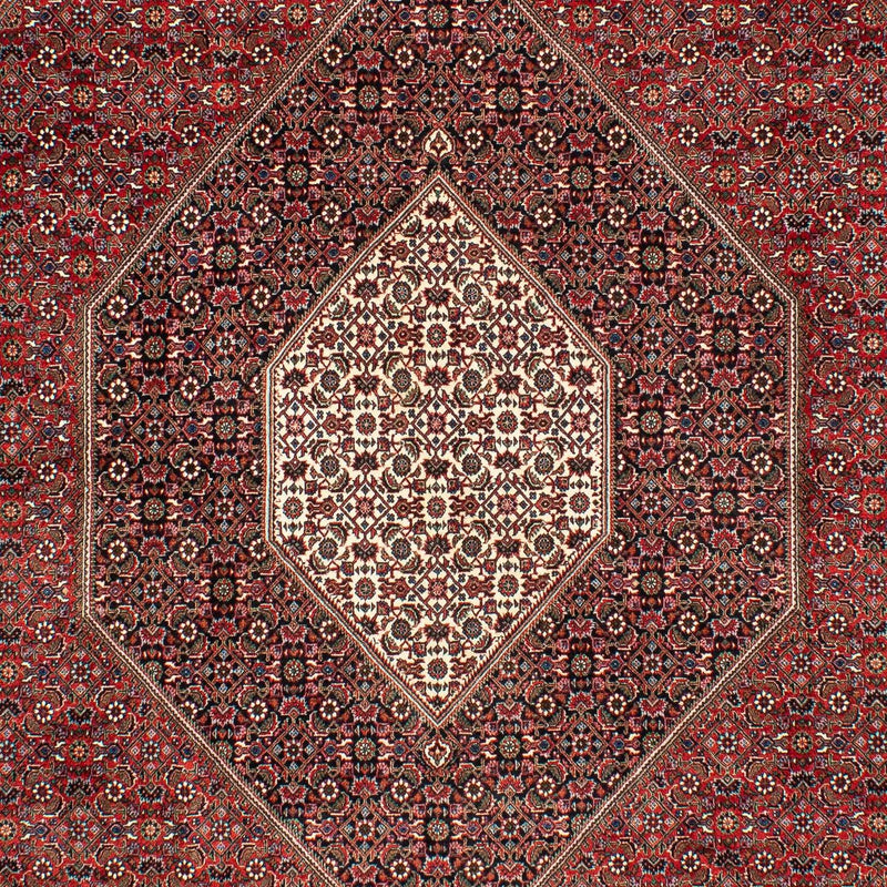 Tappeto Persero - Bidjar - 309 x 208 cm - rosso scuro