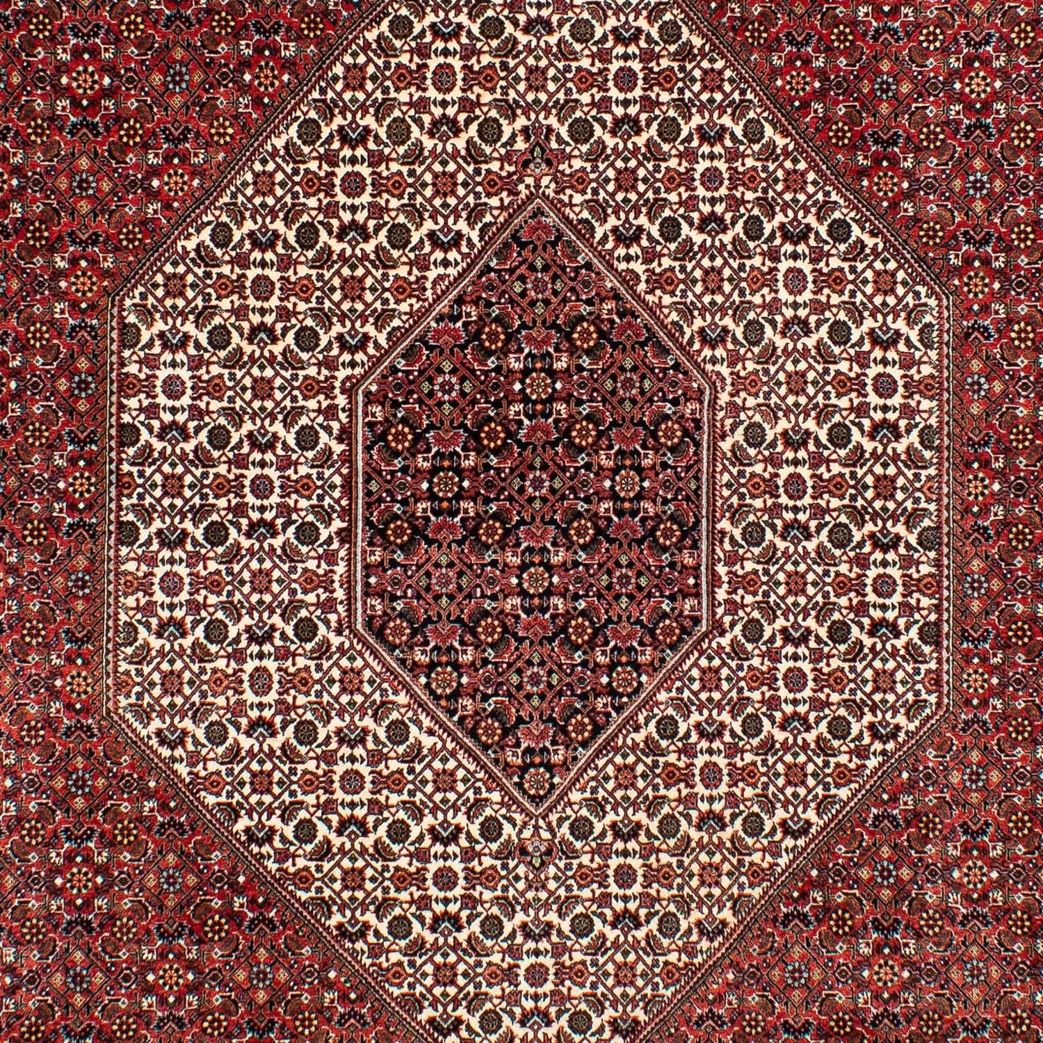 Tappeto Persero - Bidjar - 317 x 201 cm - rosso scuro