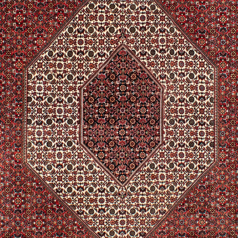 Tappeto Persero - Bidjar - 317 x 201 cm - rosso scuro