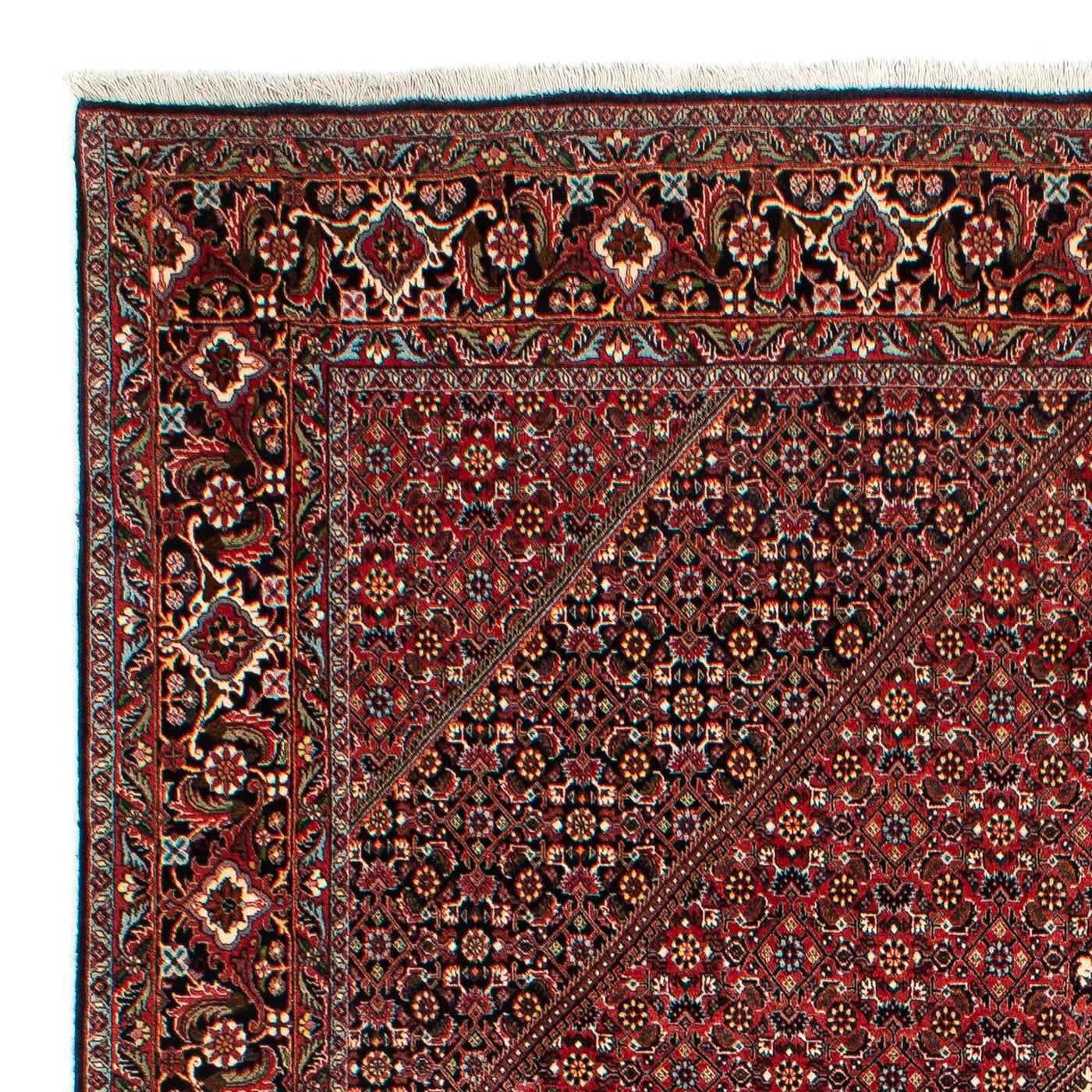Bidjar Tappeto 317x201cm - Tappeto persiano
