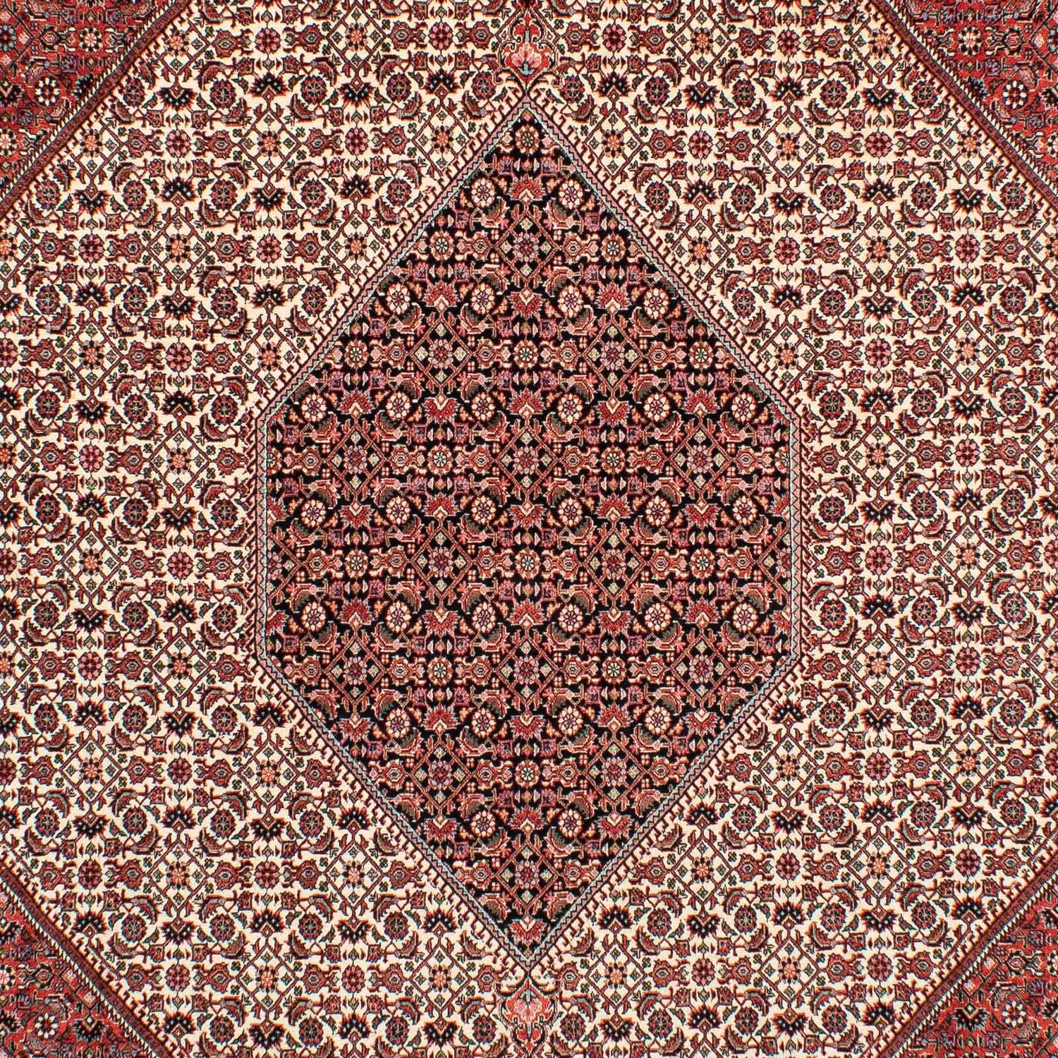 Tappeto Persero - Bidjar - 289 x 204 cm - rosso scuro