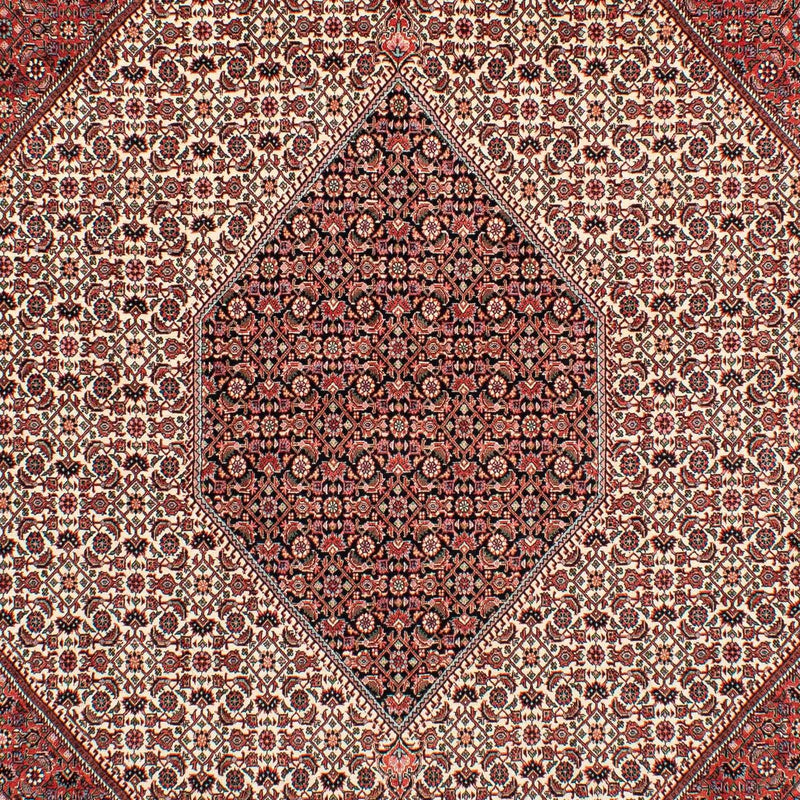 Tappeto Persero - Bidjar - 289 x 204 cm - rosso scuro