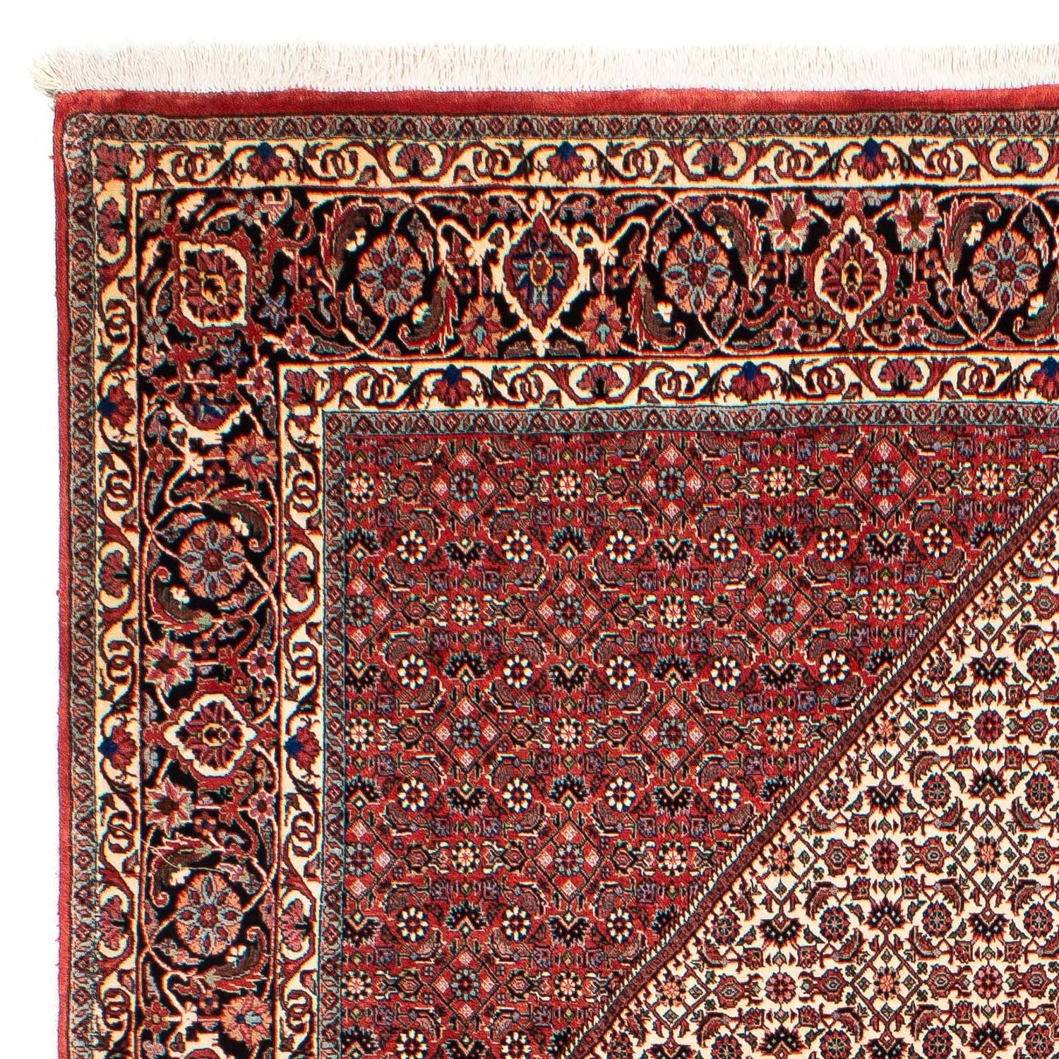 Tappeto Persero - Bidjar - 289 x 204 cm - rosso scuro