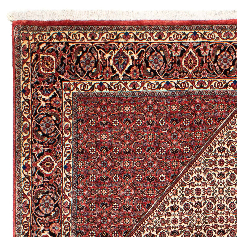 Tappeto Persero - Bidjar - 289 x 204 cm - rosso scuro