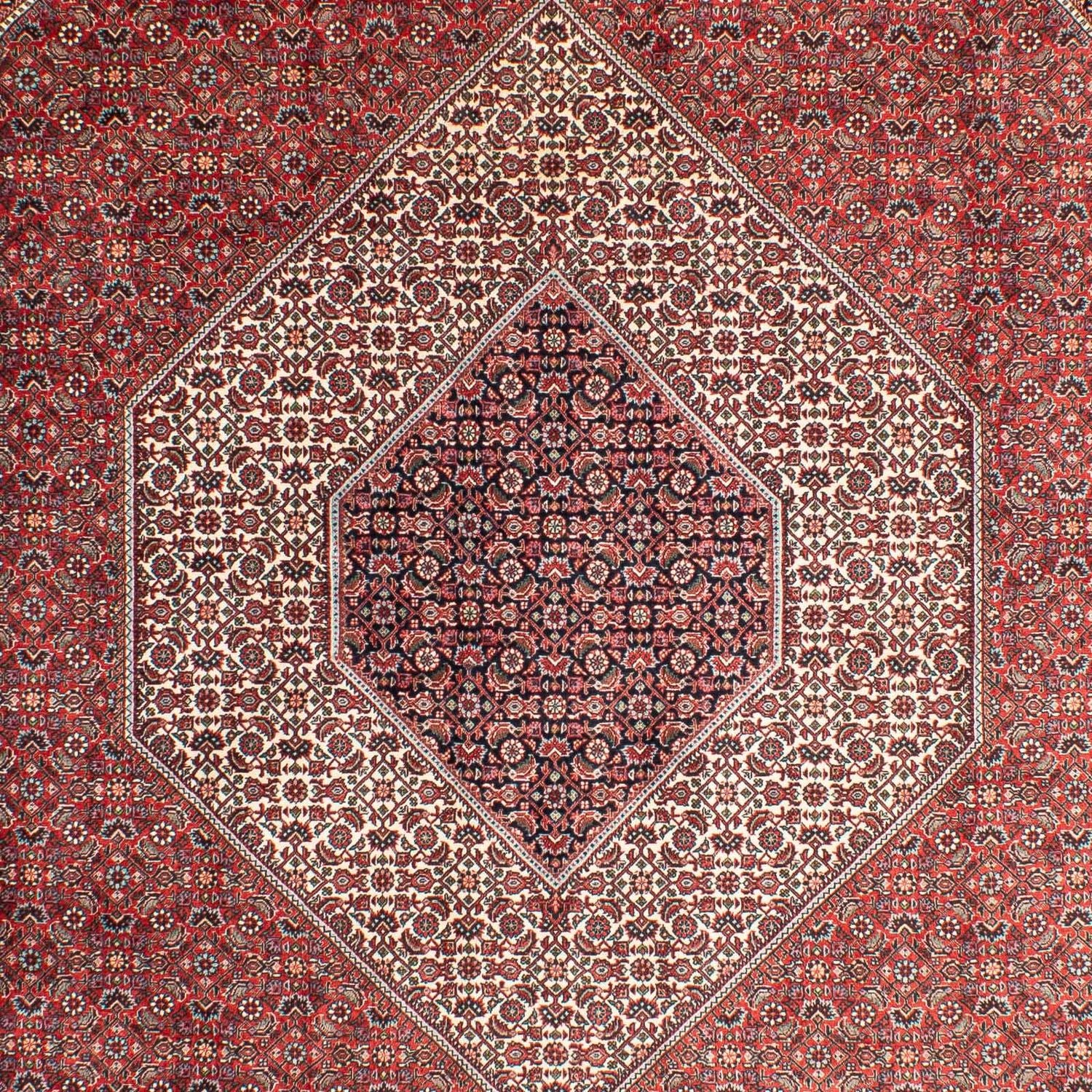 Tappeto Persero - Bidjar - 311 x 205 cm - rosso chiaro