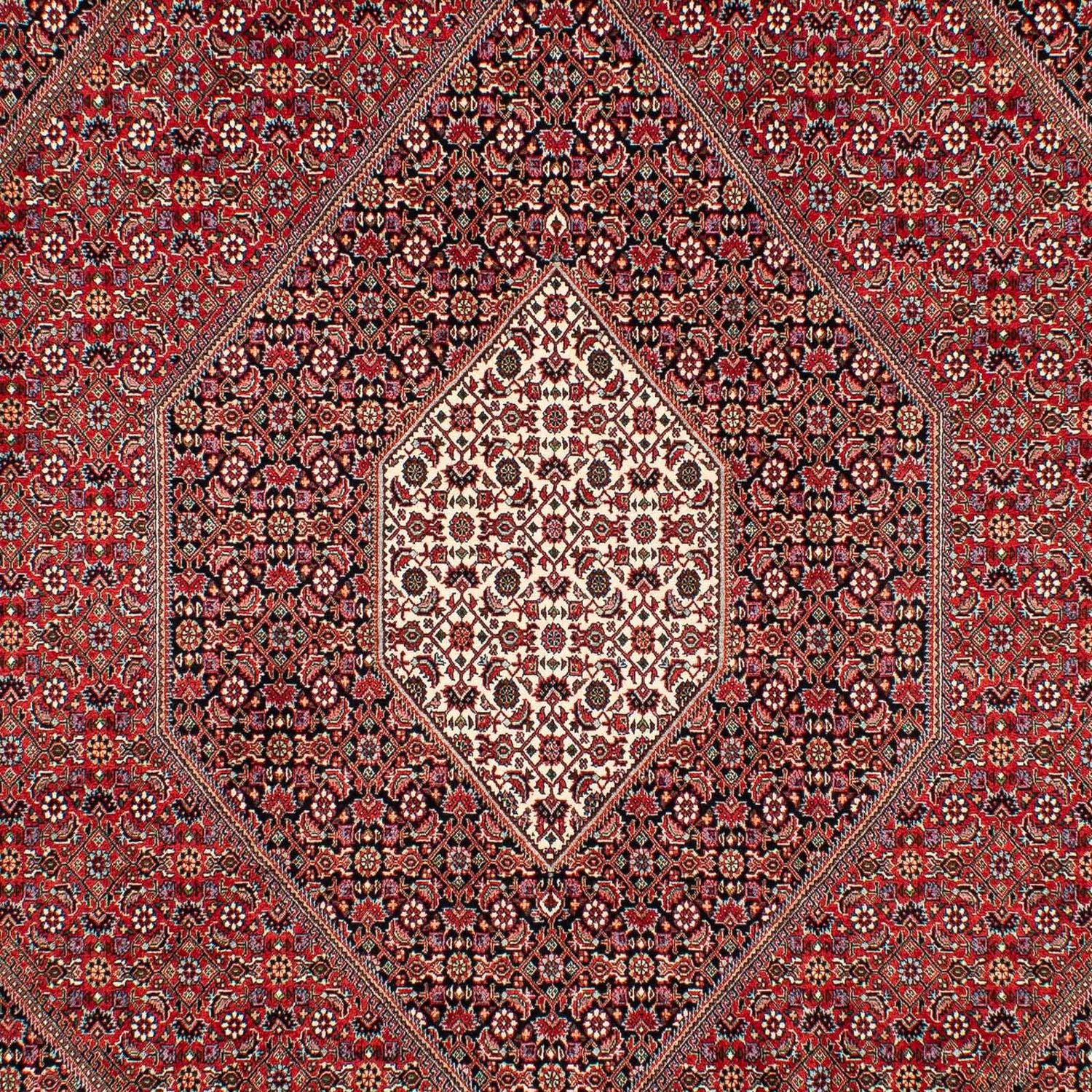 Tappeto Persero - Bidjar - 307 x 205 cm - rosso scuro