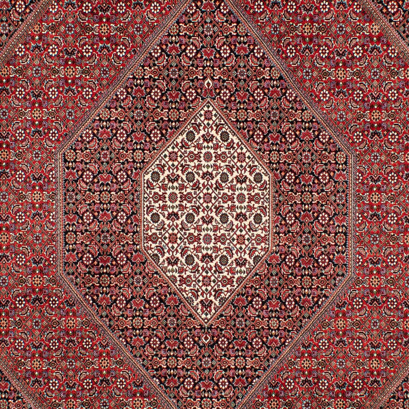 Tappeto Persero - Bidjar - 307 x 205 cm - rosso scuro