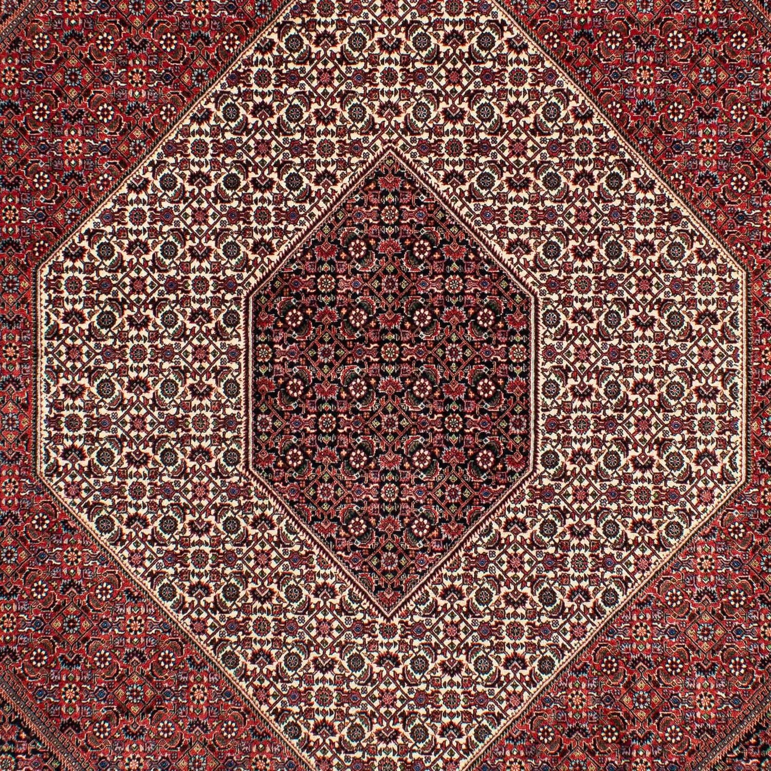 Tappeto Persero - Bidjar - 300 x 206 cm - rosso scuro