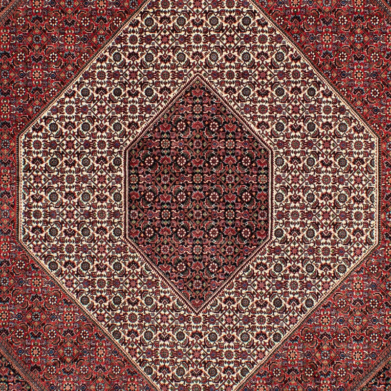 Tappeto Persero - Bidjar - 300 x 206 cm - rosso scuro