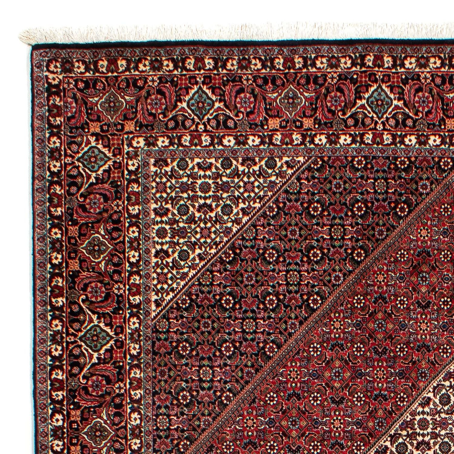 Tappeto Persero - Bidjar - 300 x 206 cm - rosso scuro