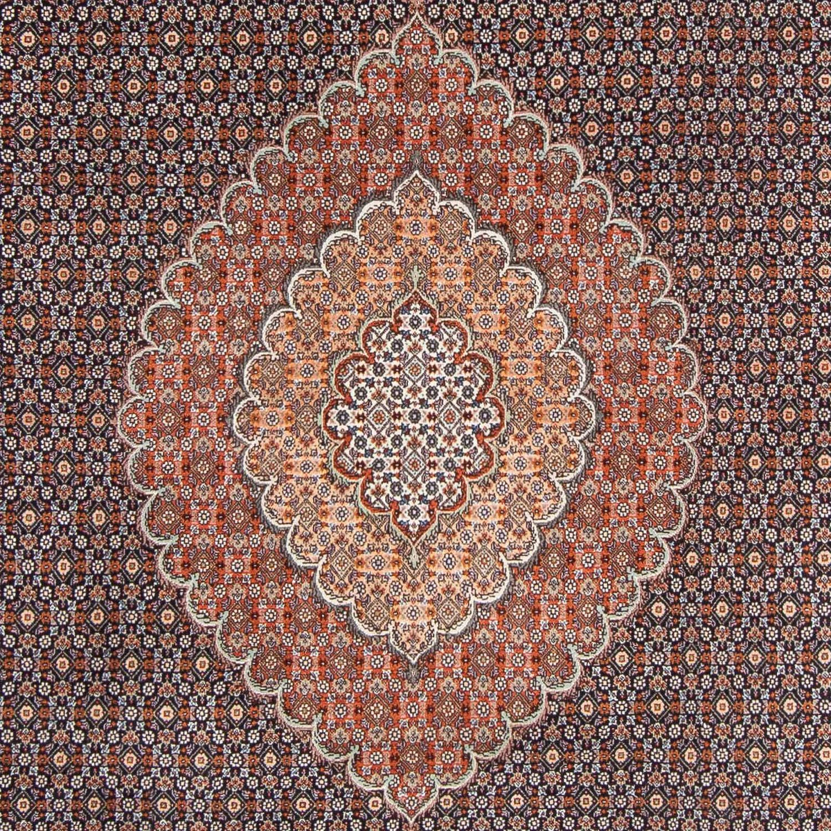 Tappeto Persero - Tabriz - 305 x 205 cm - blu scuro