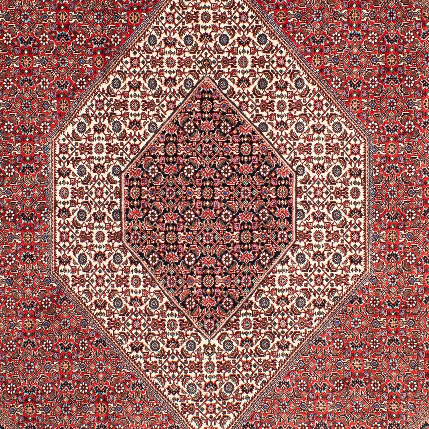 Tappeto Persero - Bidjar - 300 x 203 cm - rosso chiaro
