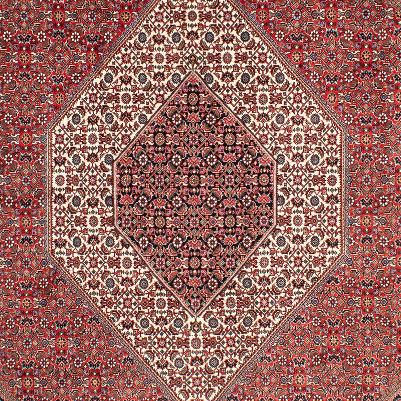 Tappeto Persero - Bidjar - 300 x 203 cm - rosso chiaro