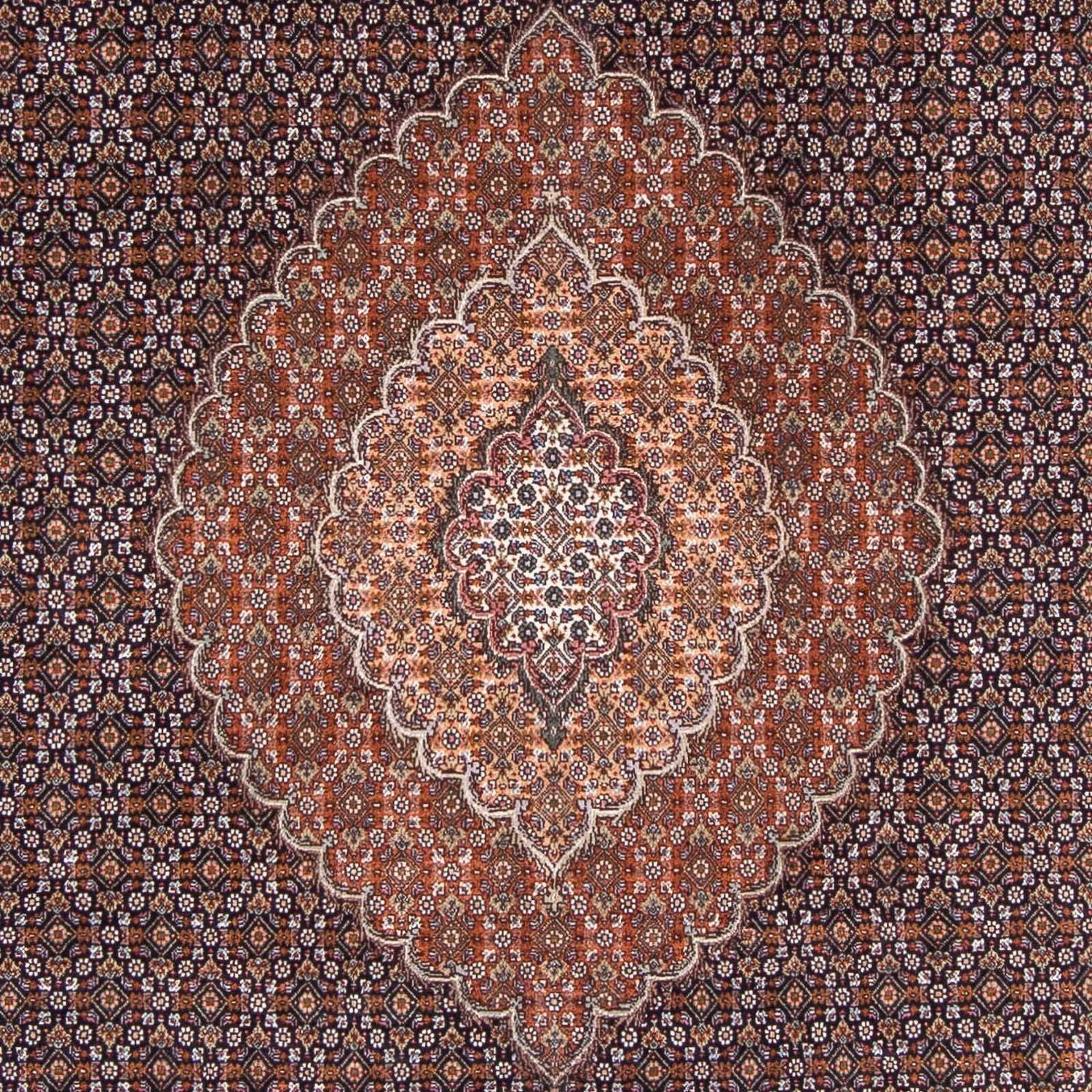 Tappeto Persero - Tabriz - 298 x 198 cm - blu scuro