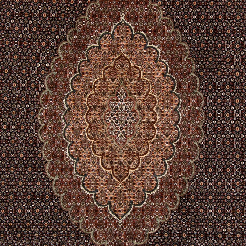 Tappeto Persero - Tabriz - 348 x 252 cm - marrone