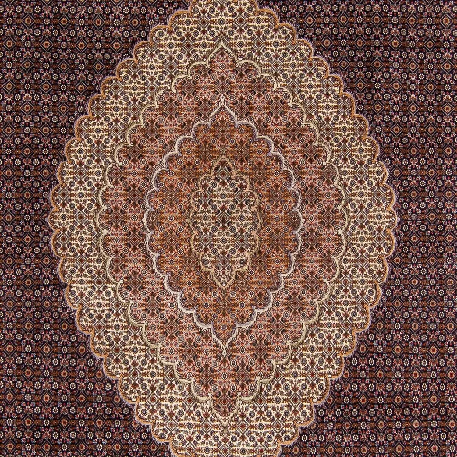 Tappeto Persero - Tabriz - 336 x 250 cm - marrone