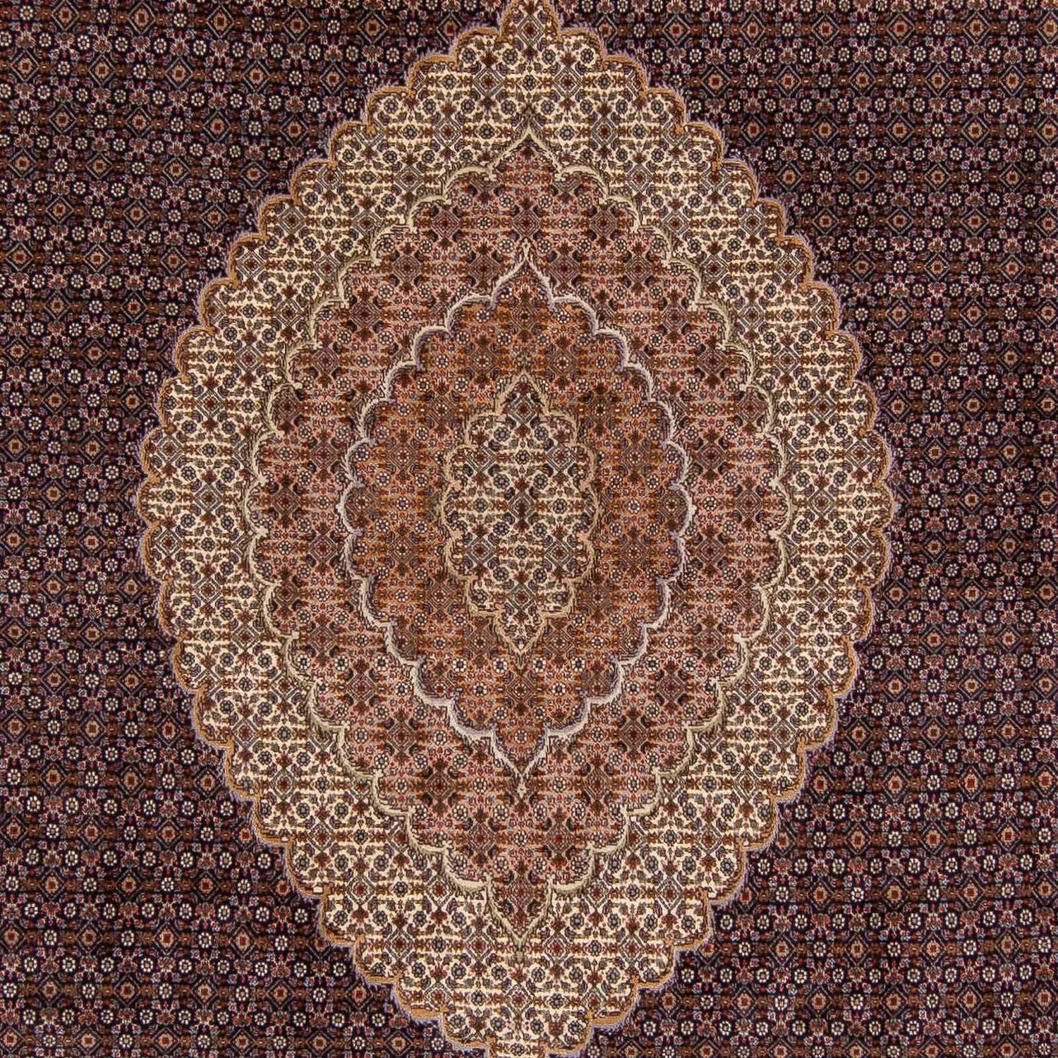 Tappeto Persero - Tabriz - 338 x 248 cm - marrone chiaro